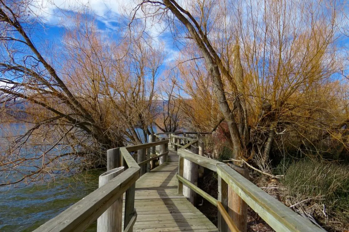 lake walkway